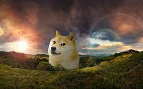 Image result for Apple Doge Meme