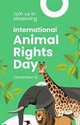 Image result for Animal Rights