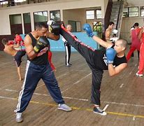Image result for Savate