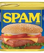 Image result for Spam Food