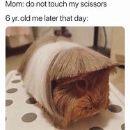 Image result for Short Hair Aging Meme