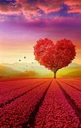 Image result for I Love Nature