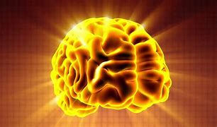 Image result for Expanding Brain Stock Image
