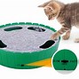 Image result for Natural Cat Toy
