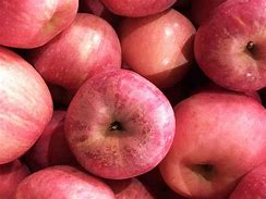 Image result for Honey Core Snow Apple China