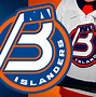 Image result for Bridgeport Islanders Logo