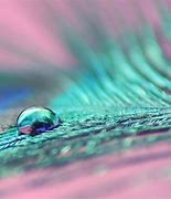 Image result for Cyan Things in Nature
