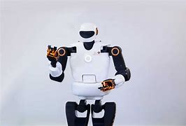 Image result for Pal Robotics Android