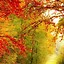 Image result for Fall Wall Phone