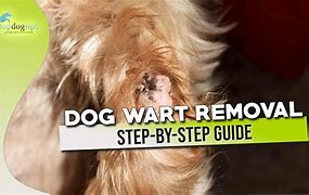 Image result for Dog Warts Treatment