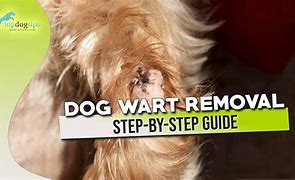Image result for Dog Wart Removal