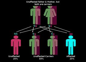 Image result for Autosomal Dominant Recessive