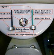 Image result for Pad Button to Flush Toilet