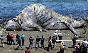 Image result for Biggest Animal Ever Lived