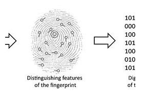 Image result for Fingerprint Scanner Output