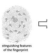 Image result for Fingerprint On Display