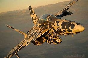 Image result for CF-18 Fighter Jets