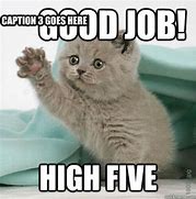 Image result for Great Job Today Funny Meme