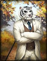 Image result for Chad Tiger