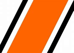 Image result for Black Cricket with Neon Orange Racing Stripe