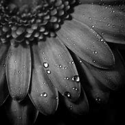Image result for Texture in Photography Black and White