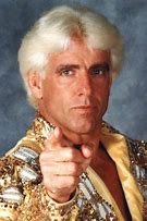 Image result for Ric Flair 90s