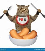 Image result for Cat Eating Sausage