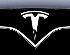 Image result for Tesla Model X P100D