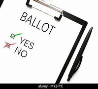 Image result for Yes No Ballot