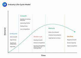 Image result for Industry Life Cycle Analysis