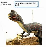 Image result for Send Your Cutest Delivery Boy Meme