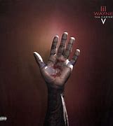 Image result for Lil Wayne Tha Carter V Album Cover