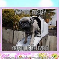Image result for Waiting for Mail Funny