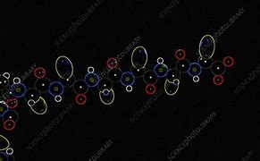 Image result for Protein Folding Animation