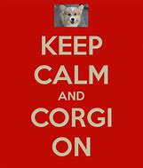 Image result for Funny Corgi Puppies Meme