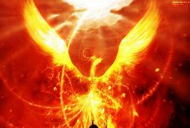 Image result for Luces Ave Fenix