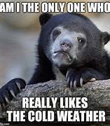 Image result for It Is so Cold Memes