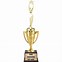 Image result for Award Cups Trophies