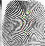 Image result for Fingerprint Pores