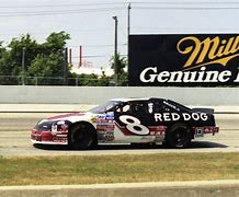 Image result for Red Dog NASCAR Car