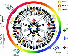 Image result for Chromophore Ink Pigment