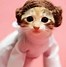 Image result for Funny Cat Halloween Costumes