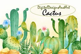 Image result for Arizona Cactus Illustration