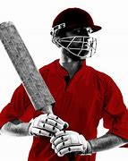 Image result for Cricket 2 Cutter