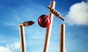 Image result for Cricket Tools