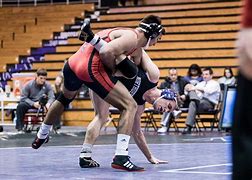 Image result for Sus Wrestling