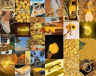 Image result for Yellow Aesthetic Wallpaper Collage