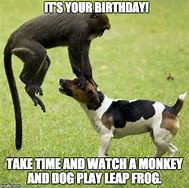 Image result for LeapFrog Meme