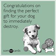 Image result for Congratulations Target Dog Meme