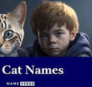 Image result for Cutest Boy Cat Names